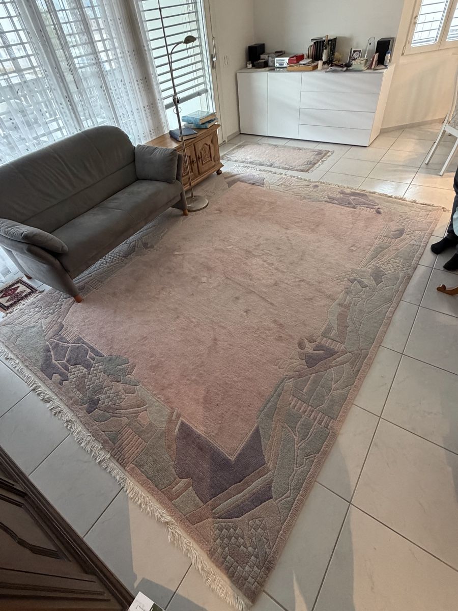 Tappeti: Tibetischer / nepalesischer Teppich 330x250cm – Usato da Zürich venduto da Sr220sr