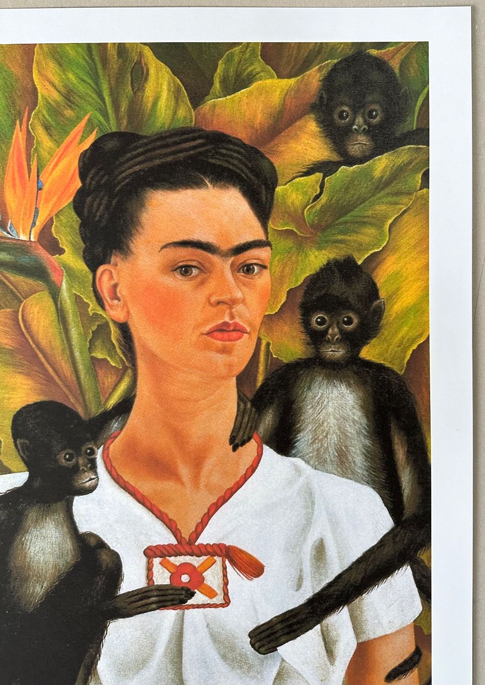 Poster & Bilder: Frida Kahlo: Self Portrait with Monkeys – Neu (gemäss Beschreibung) aus Meilen von  4