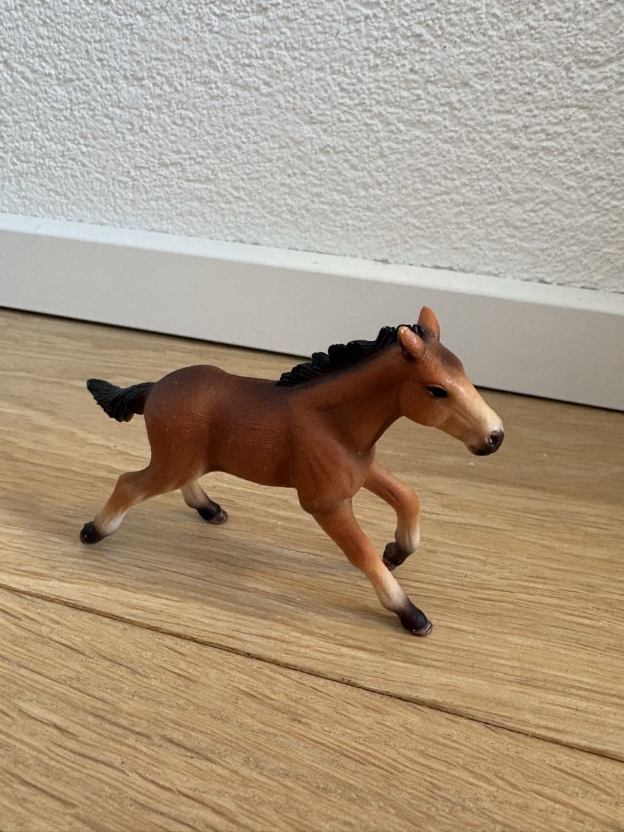 Schleich Jouets: Schleich Fohlen – D'occasion à Thun par sop_thg9