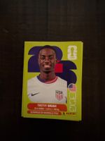 Panini Timothy Weah USA 12 & viele mehr
