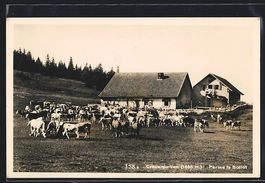 AK Creux-du-Van, Ferme le Soliat