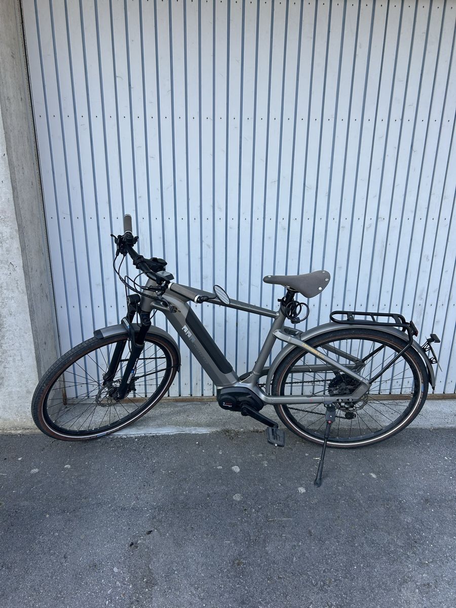 Cresta Biciclette: E-Bike Cresta eCorso Neo – Usato da Obstalden venduto da lor_2rfb 1
