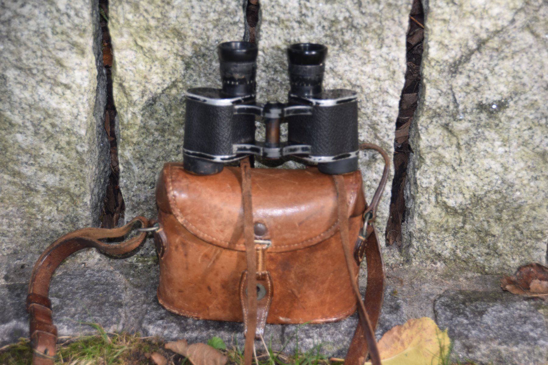 Schweizer Armee Binocoli: Armeefeldstecher 6x24 Modell 1928 – Usato da Rüti ZH venduto da Mei996 1