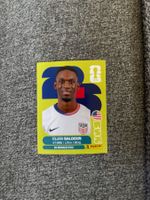Panini Sticker USA 20 WM 2026