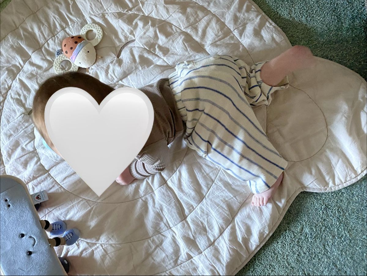 Zara Pantaloni: Baby pants 6-9 months – Usato da Villard-sur-Chamby venduto da kamila_1024