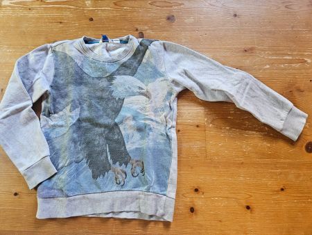 Ganz toller Seeadler Pulli 134 Bio, kids wie molo, jako-o
