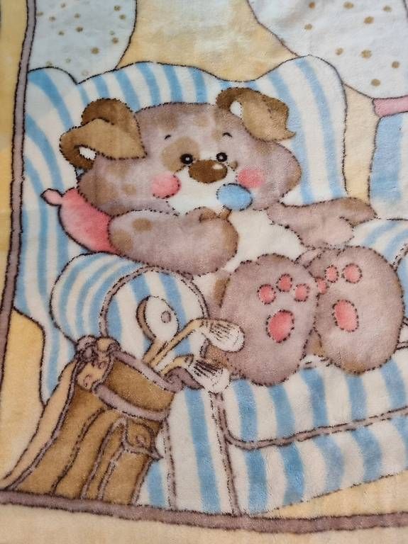 Coperte: kuschelweiche Kinderdecke 110 x 140 cm – Usato da Hinwil venduto da Fransim 1
