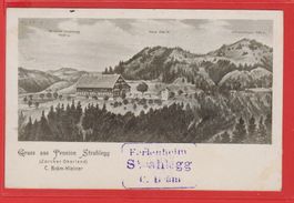 Pension Strahlegg (ZH Oberland) C. Bräm   -   alte AK 1915