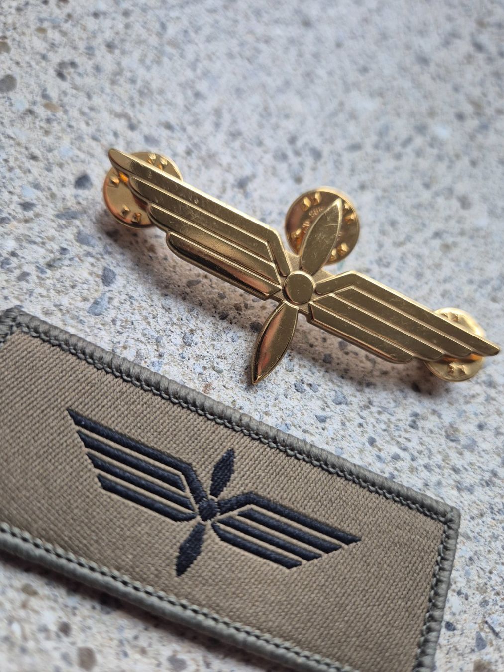 Schweizer Armee Placchette & Badge: *** Abzeichen Set Pilot Schweizer Luftwaffe FA-18 Set *** – Usato da Riedholz venduto da fr_sIruP 2