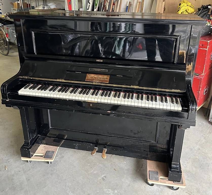 Strumenti musicali: Klavier – Usato da Appenzell venduto da kim_rw28