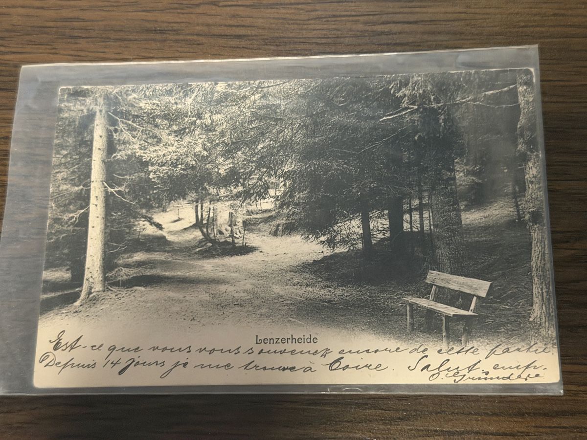 Cartoline postali: Vintage Lenzerheide Postcard - Black & White Forest Scene – Usato da BADEN venduto da Sprinz