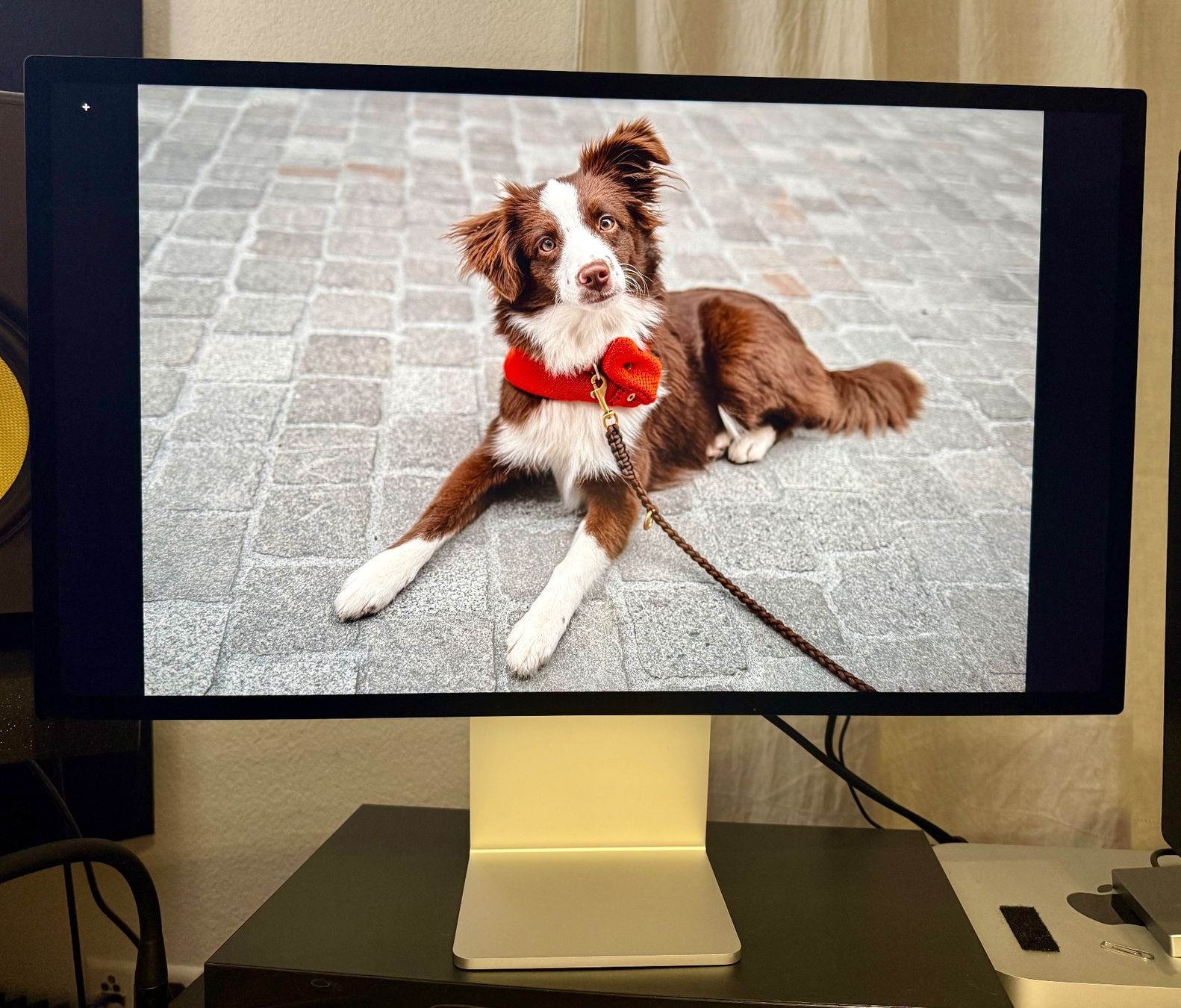 Apple Monitor: Apple Studio Display 27" Nanotexturglas – Usato da Tagelswangen venduto da Iceman35