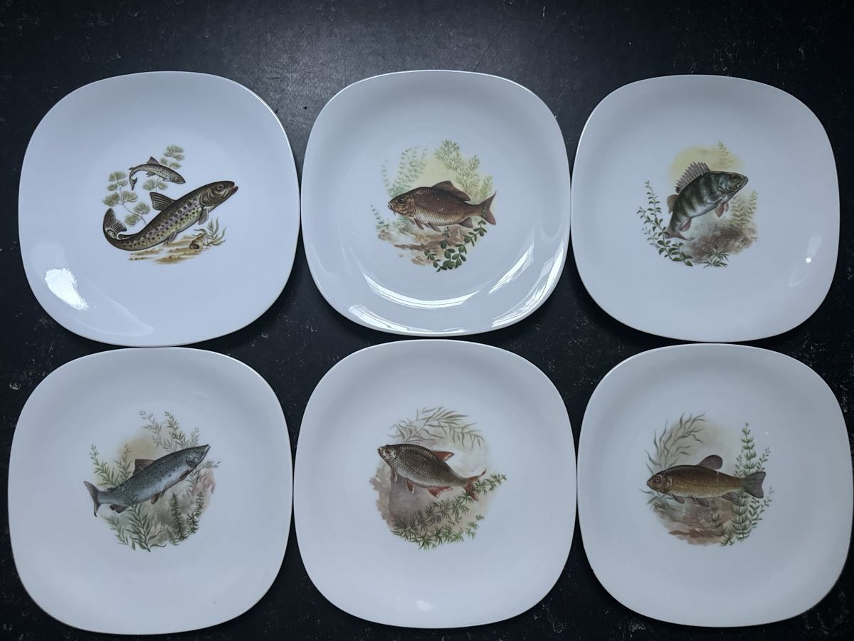 Piatti: Tellerset 6 Stk. Fischteller Suisse Langenthal  – Usato da Bern venduto da schnupka