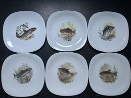 Tellerset 6 Stk. Fischteller Suisse Langenthal 