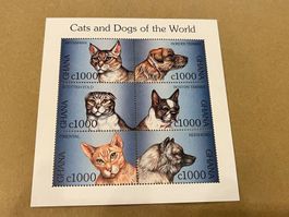 Cats and Dogs of the world - Katzen und Hunde Ghana