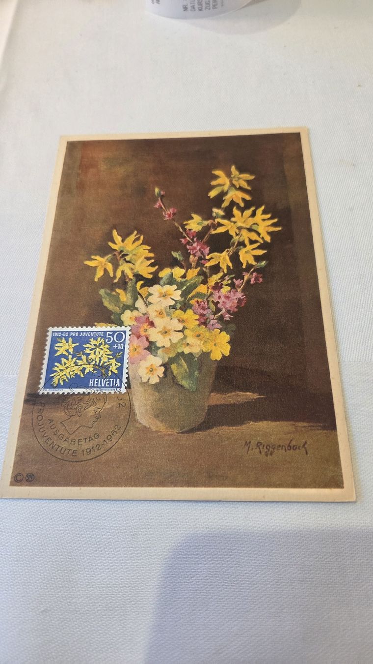 Tutti i francobolli: 1962 FDC Maximumkarte Pro Juventute 50 Rp. – Usato da Arni AG venduto da Moth68