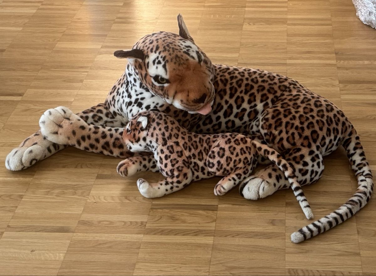 Giocattoli: XXL Leopard Mutter mit Baby – Usato da Schwerzenbach venduto da schwerzi70 1