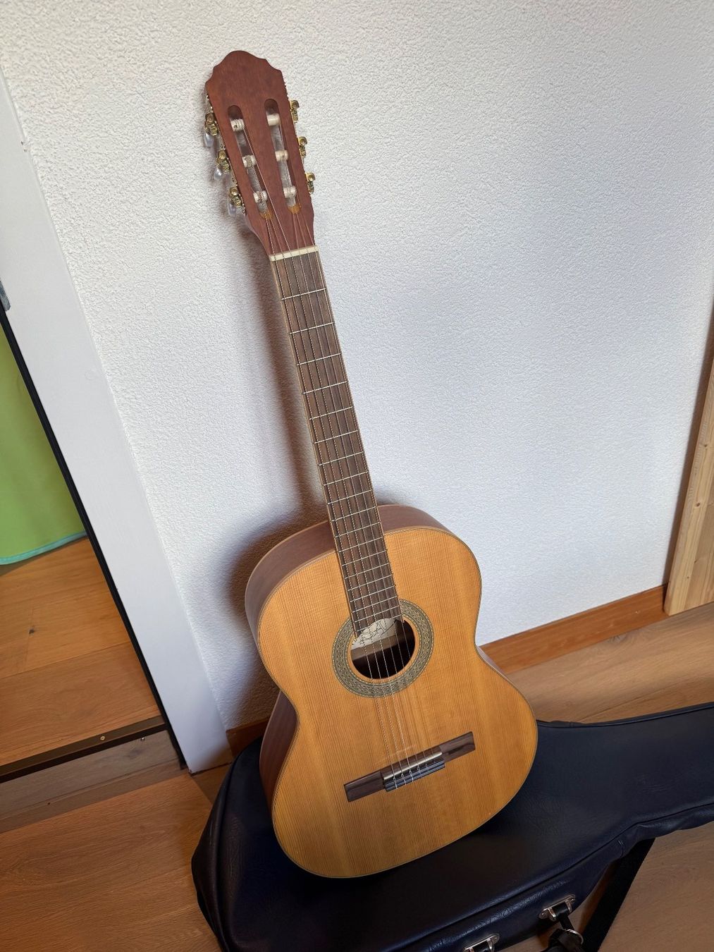 Strumenti musicali: Gitarre Typ Guitar HG80 VSA – Usato da Flawil venduto da hallyi
