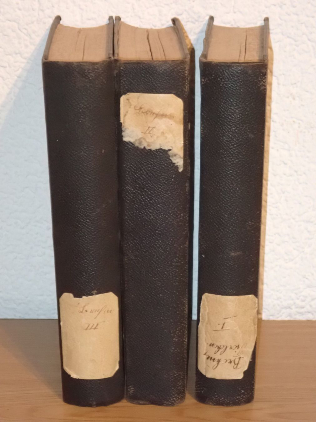 Bücher: Antik  "Brem`s Illustriertes Thierleben", 1860 – Gebraucht aus Winterthur von Minerva_59 7