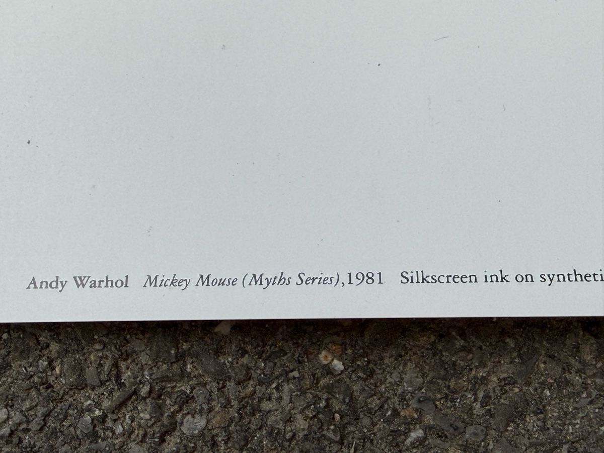 Foto & Immagini: Andy Warhol Mickey Mouse 1981 Pop Art Poster – Usato da Konolfingen venduto da petzipetz 2