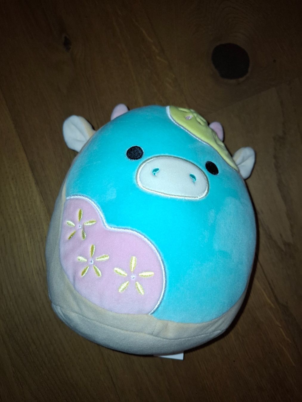Squishmallows Jouets: 2x Squishmallow 20cm – D'occasion à Mels par Aloha86 2