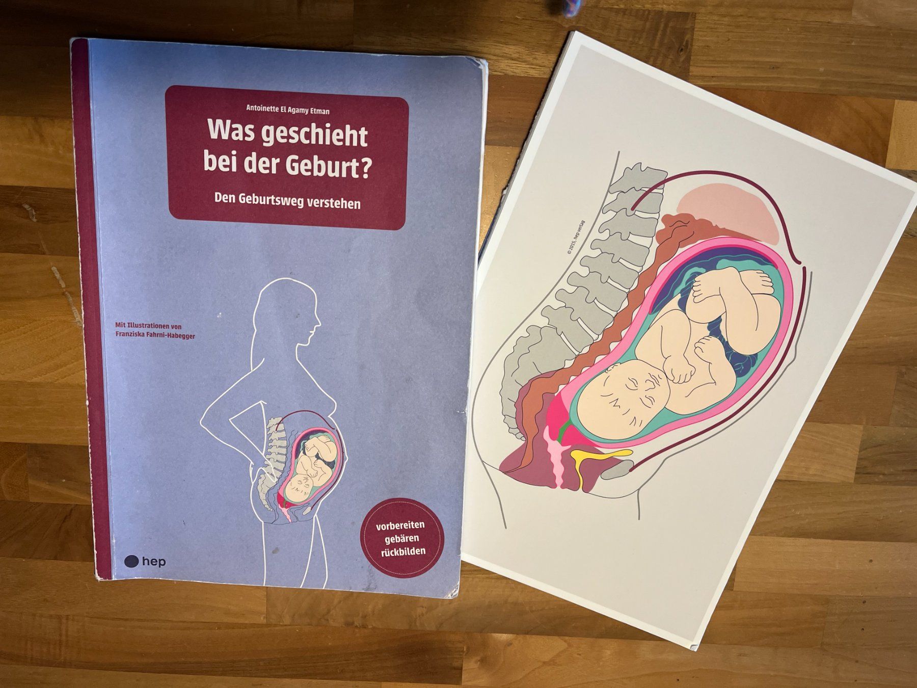 Libri: Was geschieht bei der Geburt? Ratgeber – Usato da Altstätten SG venduto da tan_lzx2