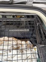 Hunde-Autobox sehr stabil top Zustand
