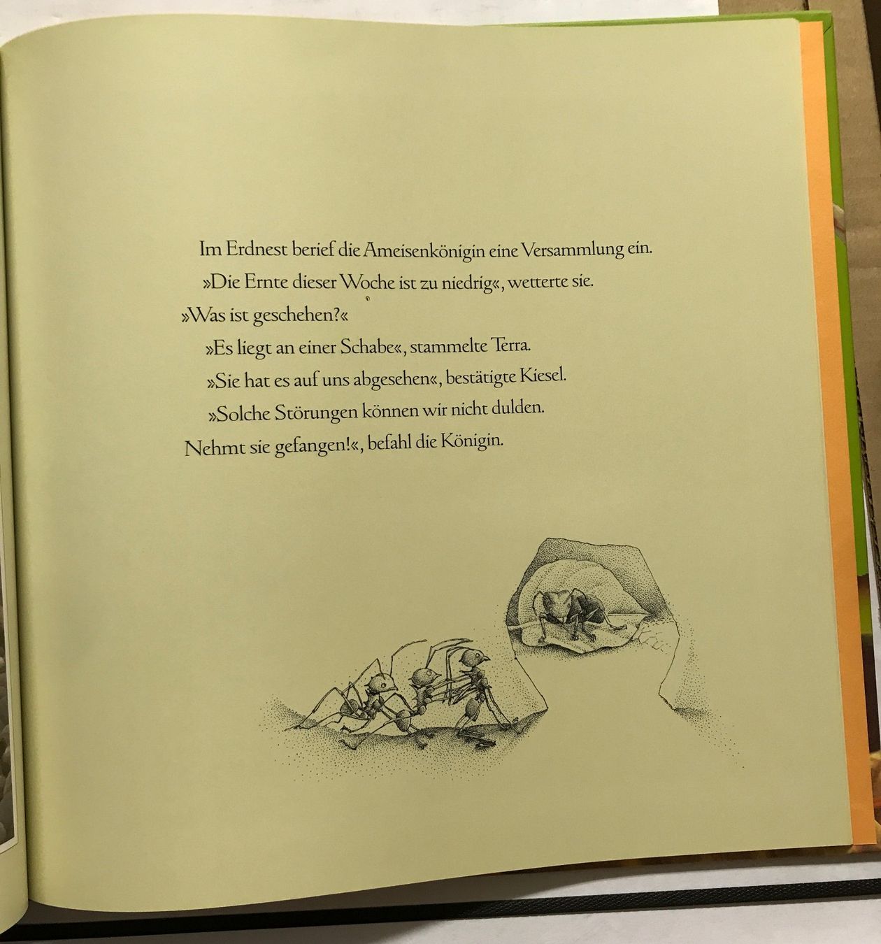 Libri: Knickling – Nuovo (secondo la descrizione) da Sarnen venduto da Livres 3