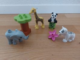 LEGO Duplo 10904 Süsse Tierkinder (Zoo Tiere)