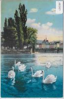 Geneve - Les Cygnes de l'Ile Rousseau - Schwäne - Litho