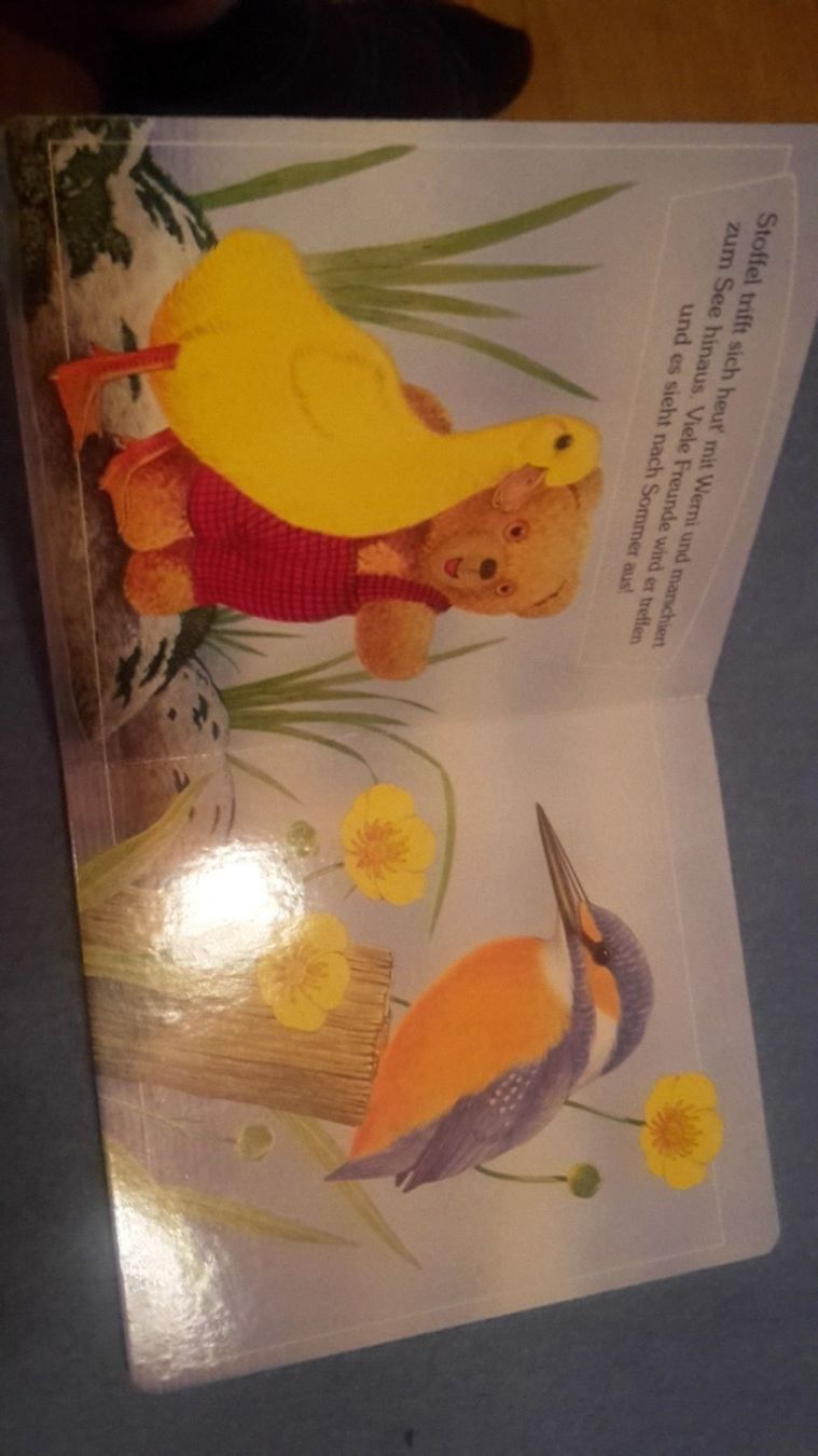 Libri: Buch Stoffel und Werni – Nuovo (secondo la descrizione) da Schwarzenburg venduto da Flamingo07 1