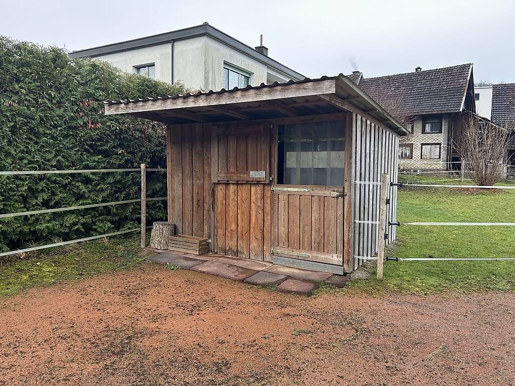 Altro: Verkaufe Pferdebox 3x3 Meter – Usato da Mauren venduto da Miggy1