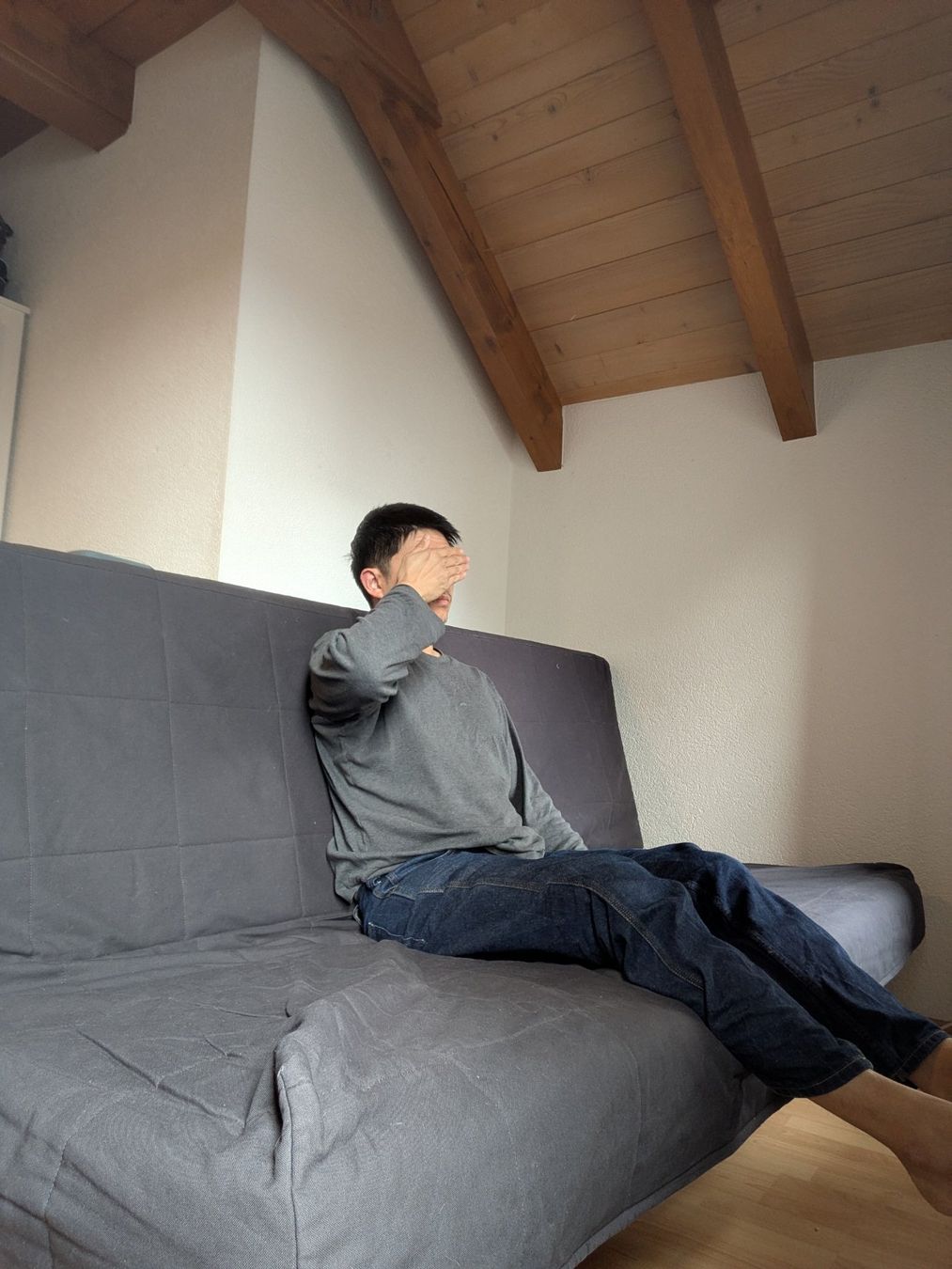 Ikea Divani: Graues Schlafsofa/Sofa bed von IKEA NYHAMN – Usato da Biel/Bienne venduto da tom_5jfw 3