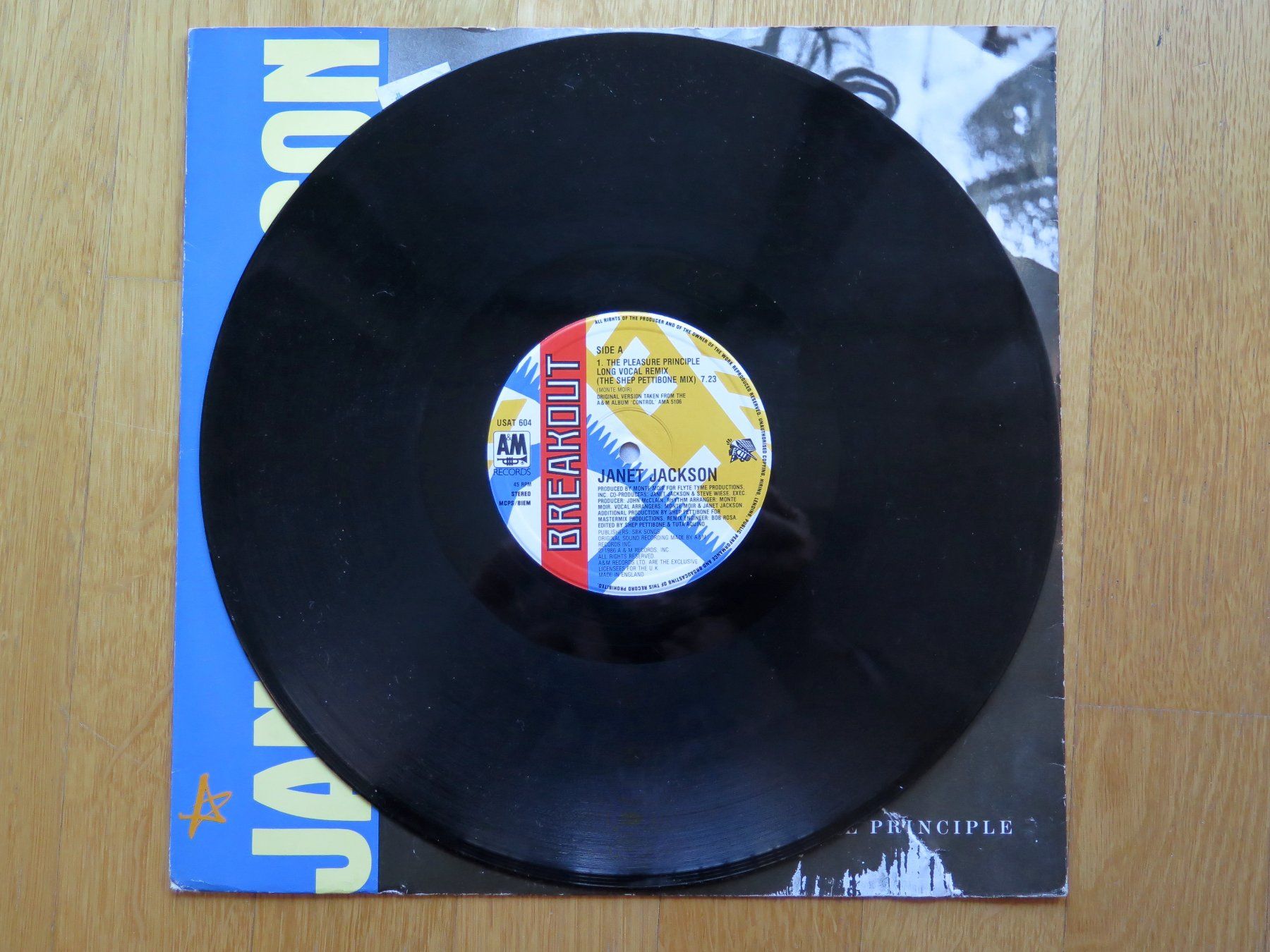 Dischi in vinile: Maxi-Single JANET JACKSON: The pleasure principle, 1986 – Usato da Bern venduto da Balzamico 2