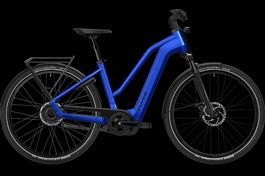 NEU E-BIKE FLYER 25KM/H | 85NM & 750WH BOSCH ELEKTROVELO