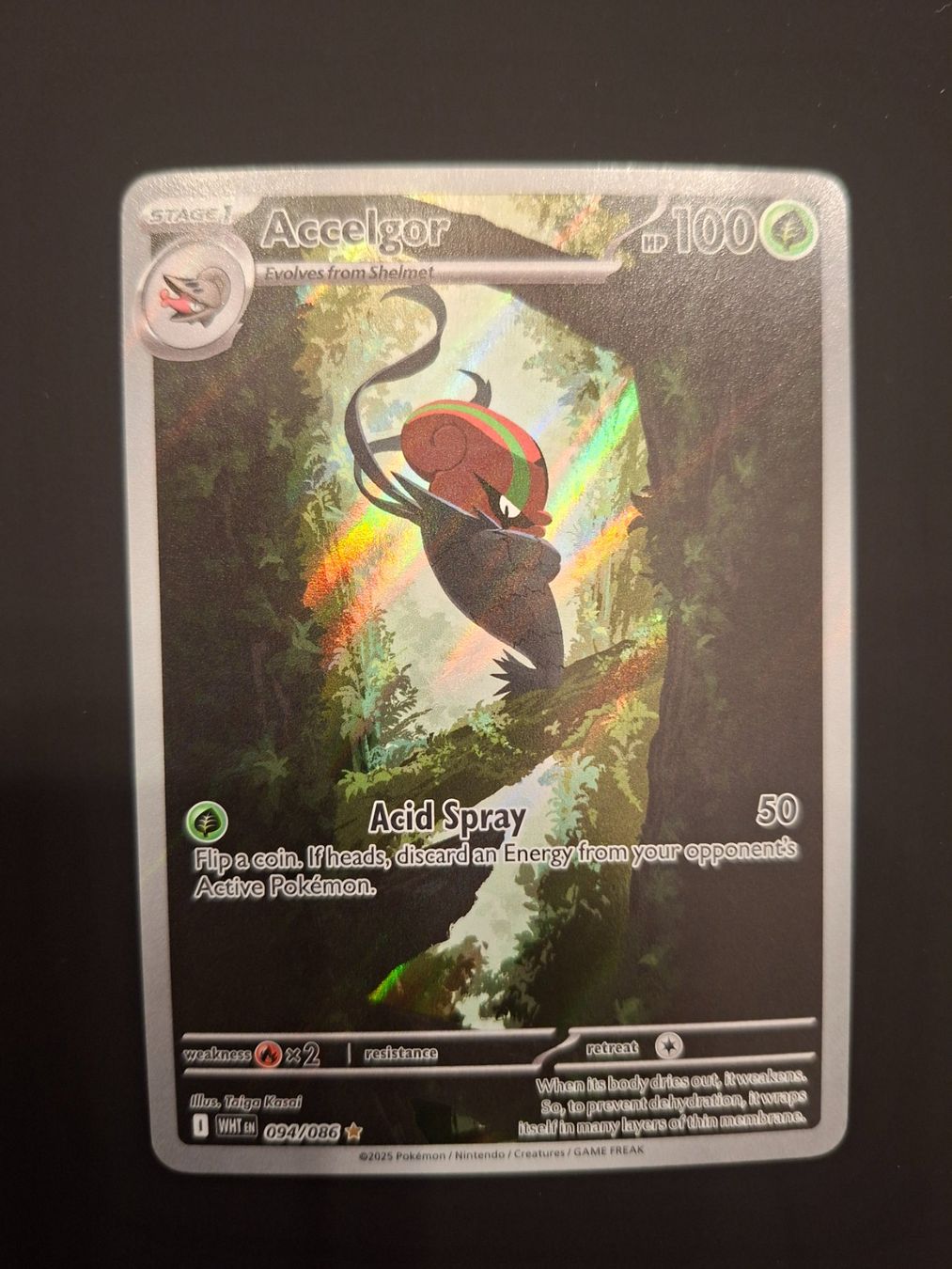 Pokémon Carte collezionabili: Accelgor #094 White Flare (WHT EN) – Usato da Biasca venduto da Sara_Poke123