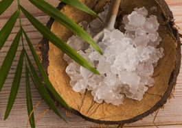 100 g frische Bio Wasserkefir-Kristalle