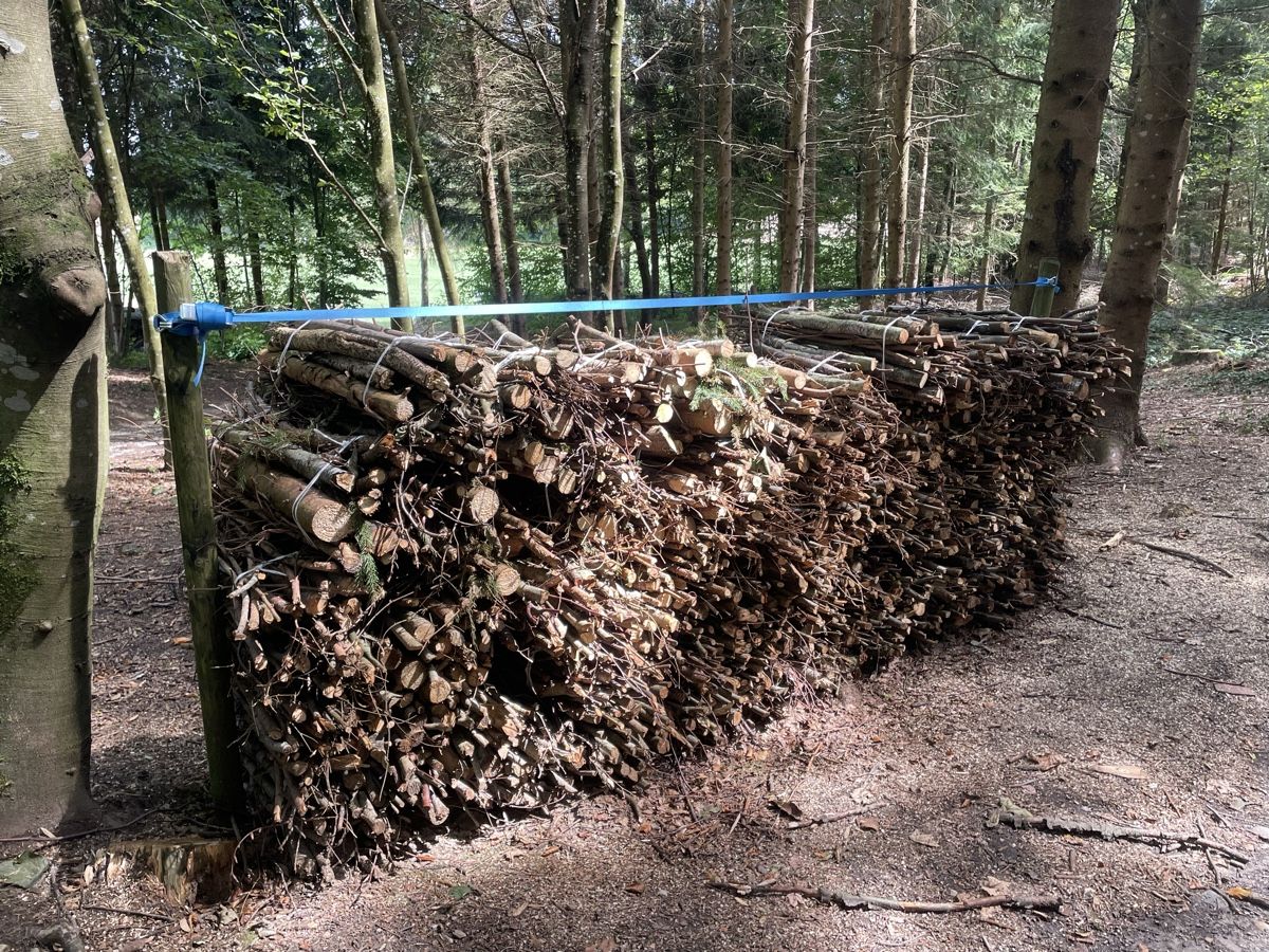 Holzartikel: Brennholz – Gebraucht aus Birrwil von Memme0 2