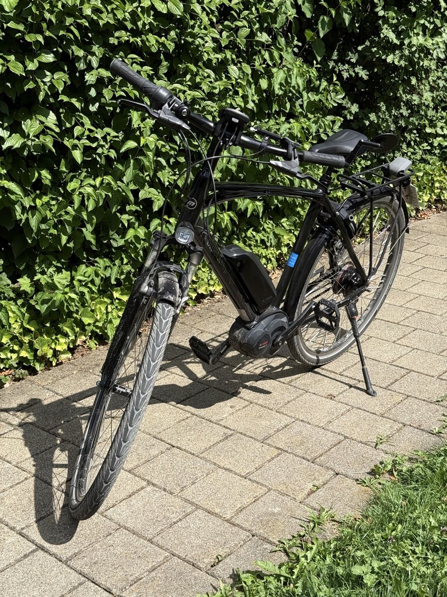 Riese & Müller Biciclette: Riese & Müller e-Bike Blue Label, Modell 2014 2x Akku – Usato da Urdorf venduto da noelfaris 9