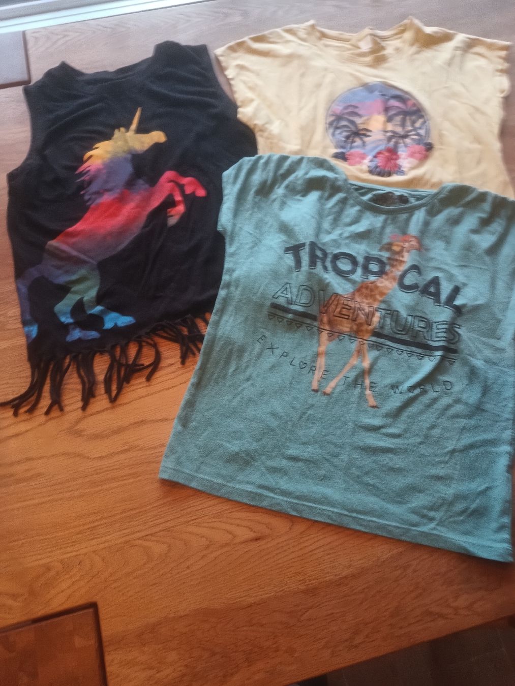 Camicette, T-shirt & Top: 3  Shirts Gr.146/ 158 – Usato da Burgdorf venduto da Bxblau