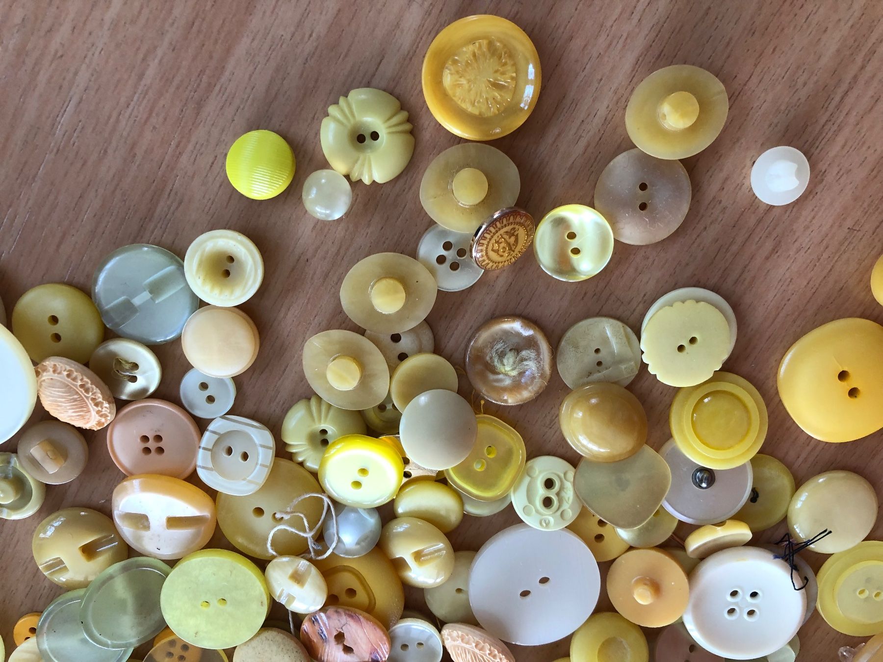 Bottoni: Lot Knöpfe Gelb ca. 460 gr. – Usato da Sirnach venduto da Goforit2001 4