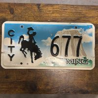 🇺🇸 U.S. Autoschild - Wyoming 677 - US Regierung