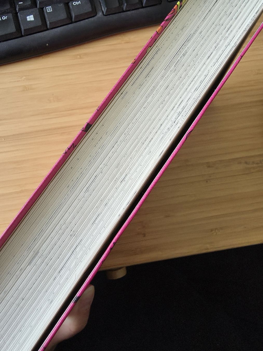 Libri: Mein Lotta-Leben Buch – Usato da Zollikerberg venduto da nmonika 2