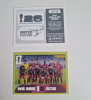 Panini Sticker QAT13