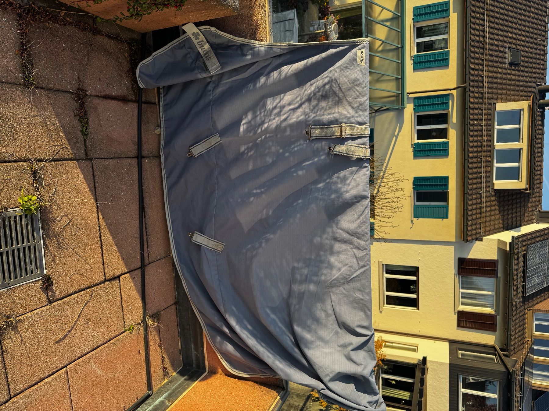 Decken: 8 Pferdedecken – Gebraucht aus Küsnacht ZH von _Mireeh_ 4
