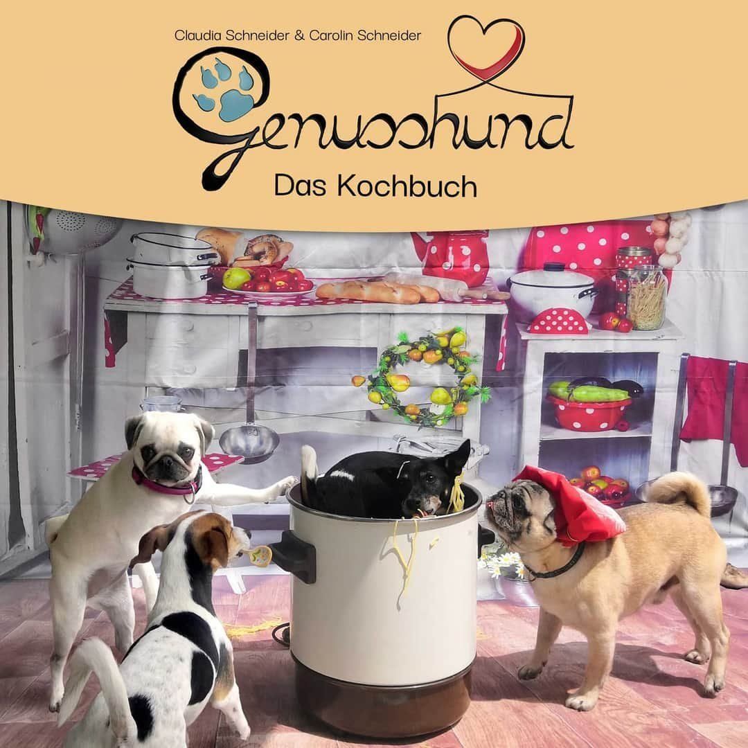 Guide & Manuali: Genusshund - Das Kochbuch – Nuovo e nell'imballaggio originale da Bülach venduto da Tintenpfade