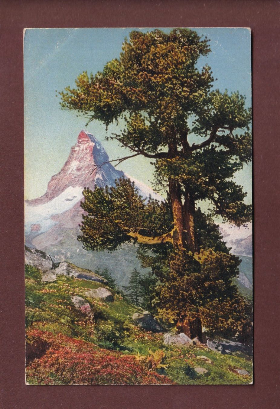 Ansichtskarten: CERVIN / Matterhorn – Gebraucht aus Pully von nicecards-shop