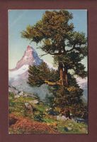 CERVIN / Matterhorn