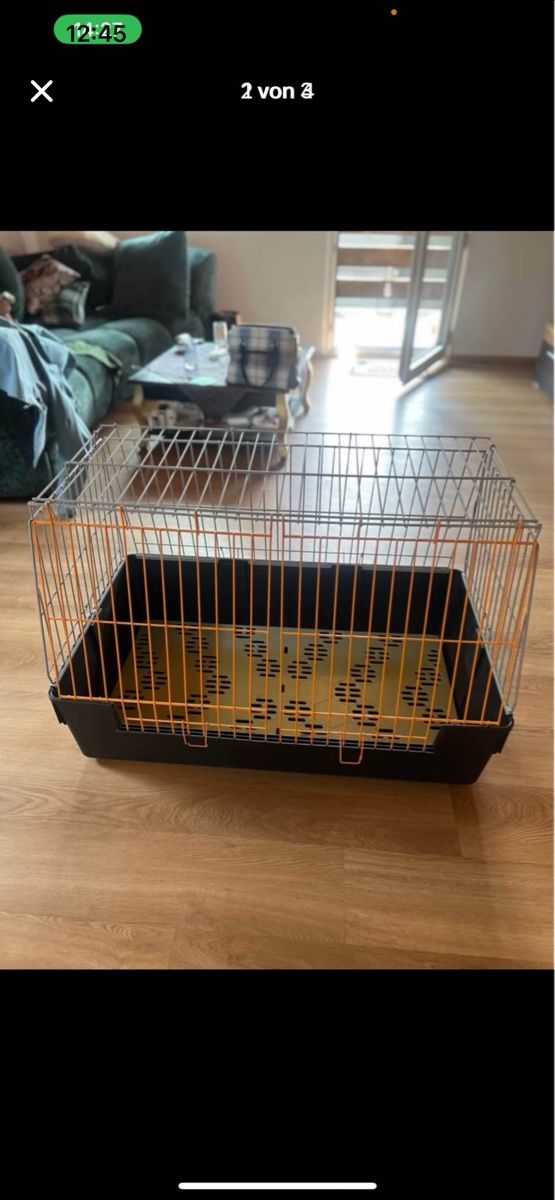 Gabbie, trasporto & Sicurezza: Grosse Faltbare Hundebox – Usato da Schönengrund venduto da Oldbutgold93 1