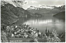 AK Weggis und die Alpen 1967